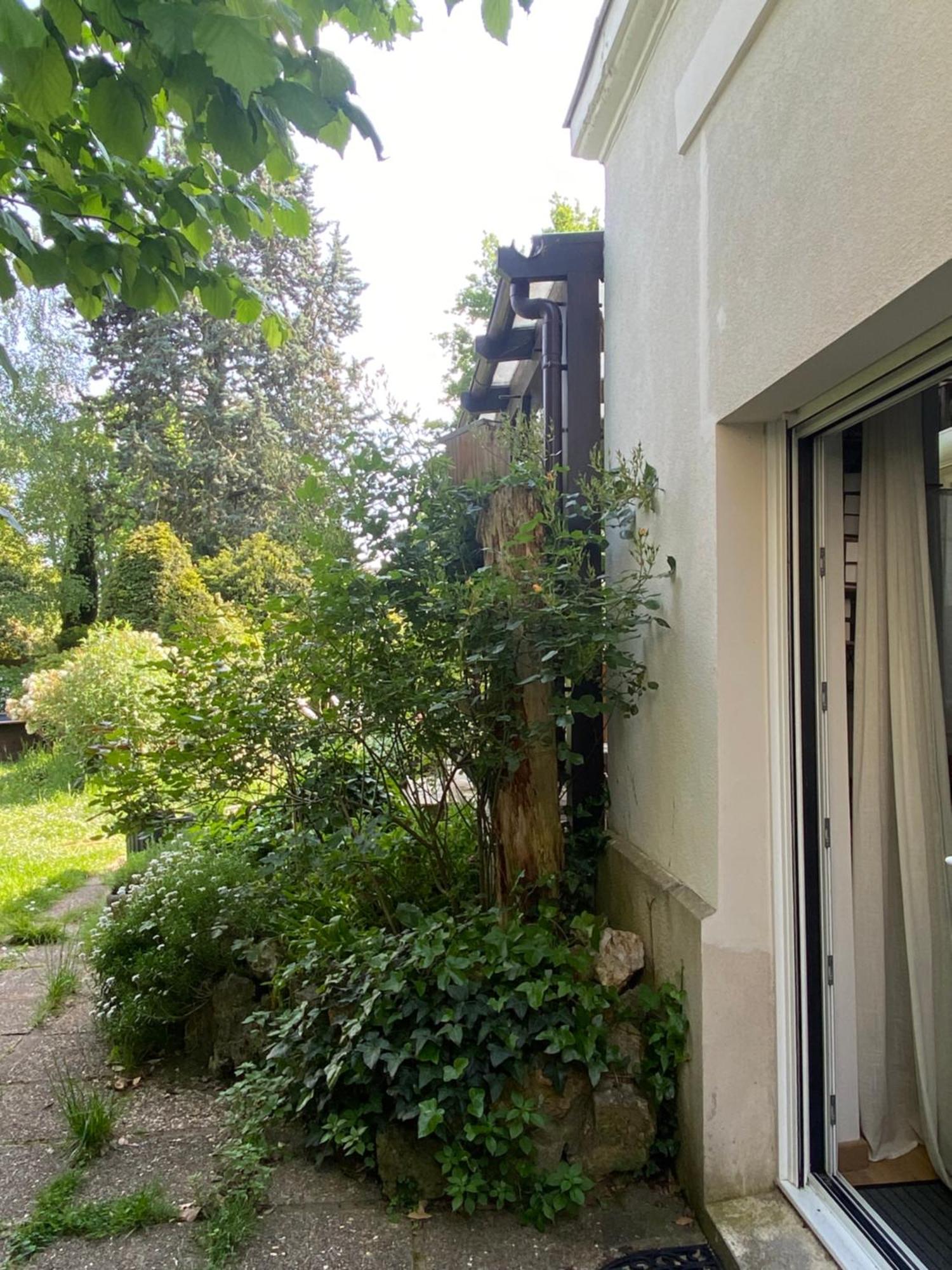 Les Charmettes Chambre D Hotes Independante Villemoisson-Sur-Orge Exteriör bild